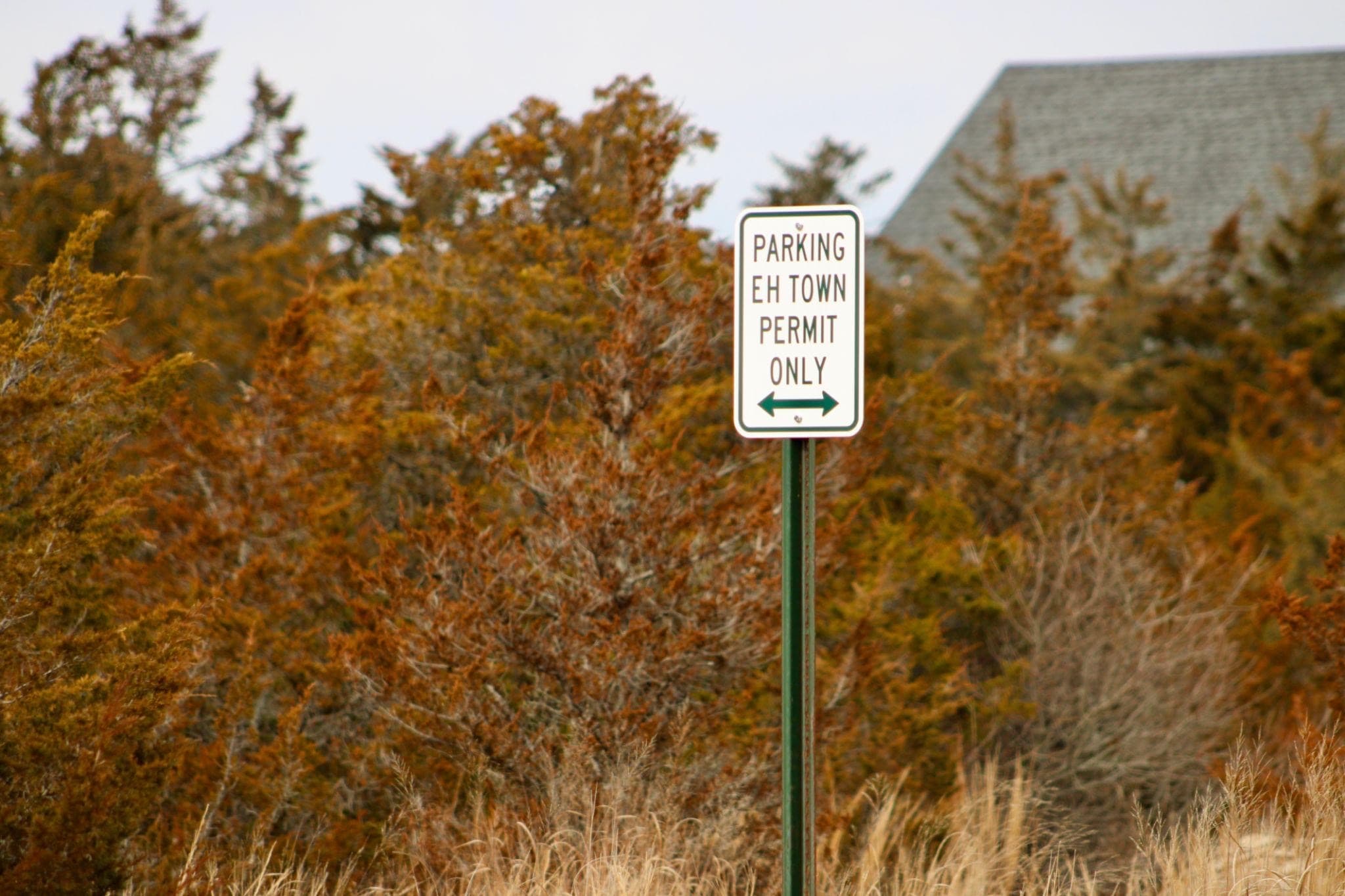 The Annual East Hampton Village Beach Permit Rush Is Here