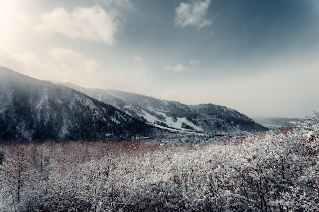 Mid-Season Surge: Aspen Listings Push Past $100 Million as January Sale Resets Expectations